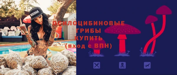 скорость Богданович
