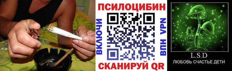 omg зеркало  что такое наркотик  Малая Вишера  Галлюциногенные грибы Psilocybine cubensis 